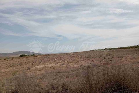 Finca i Yecla, Murcia, Yecla - € 350.000 | Ref: SF0507 - foto 33